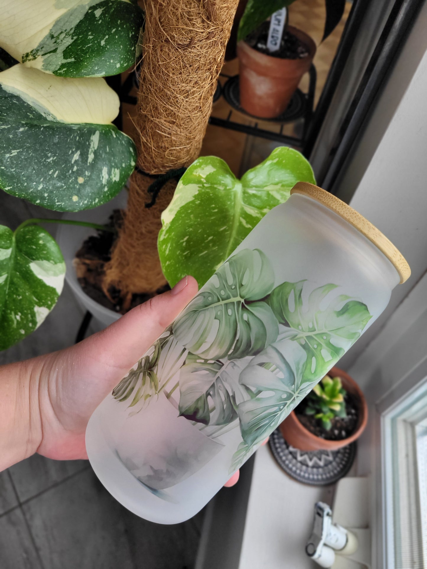 Verre givré Monstera 3